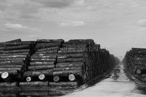 Tempête Klaus, aire de stockage des bois de tempête. Gascogne à St Symphorien et Beynel PGS à Salles.