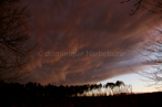 apres la tempête