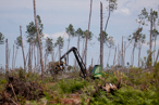 Photos de la tempête KLAUS, débardage des bois