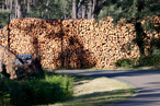 Photos de la tempête KLAUS, débardage des bois