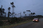 Photos de la tempête KLAUS, le lendemain..